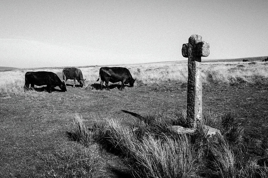 Dartmoor Cross iii Photograph by Helen Jackson