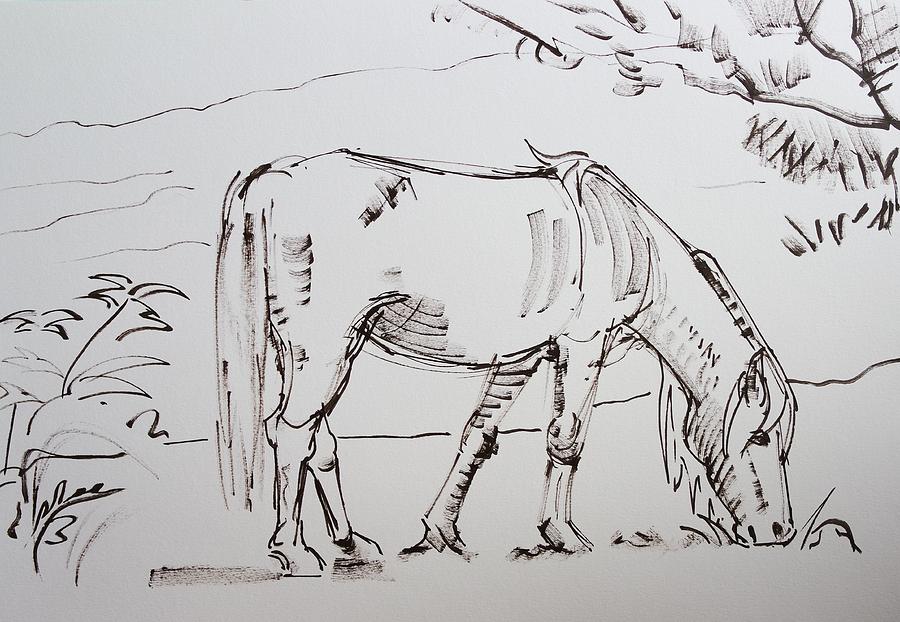Dartmoor horse grazing sketch Drawing by Mike Jory
