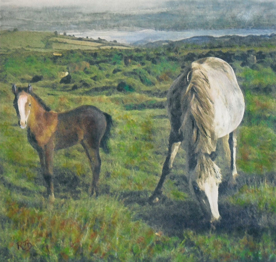 Dartmoor Ponies Painting by Richard James Digance