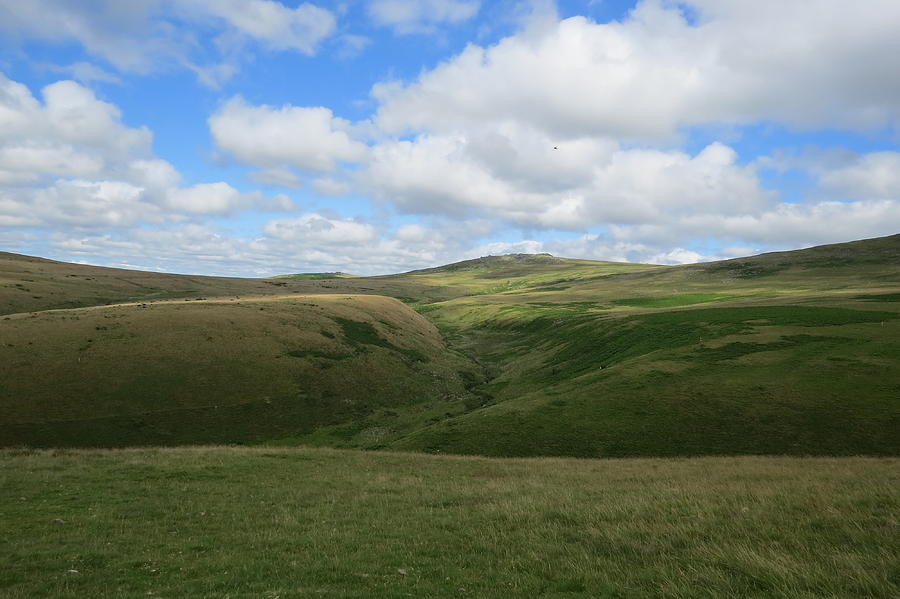 Dartmoor Valleys Photograph by Linda Whitaker - Fine Art America