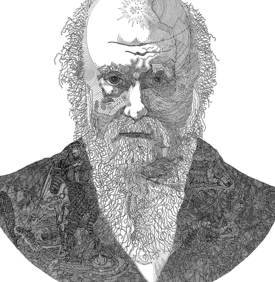 Darwin Drawing by Greg Frehner Fine Art America