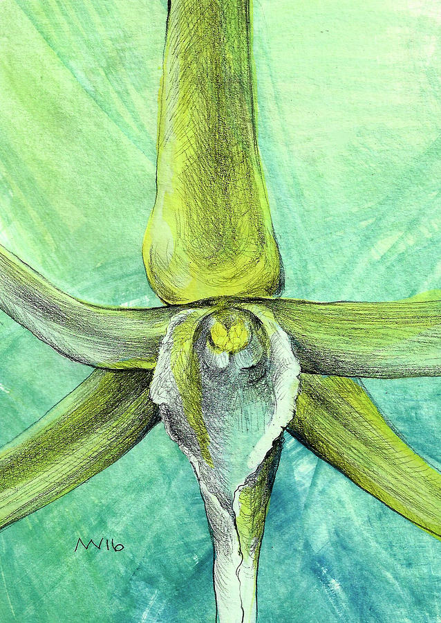 Darwins Orchid Mixed Media by AnneMarie Welsh
