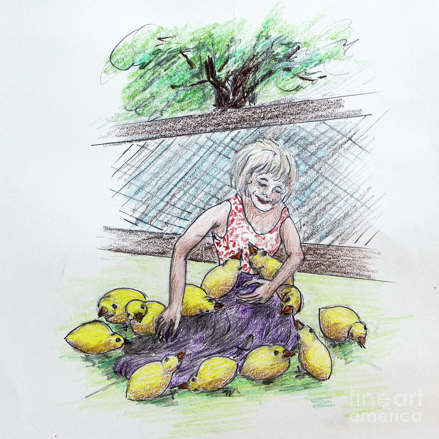 Bird Drawing - Dash and 12 chicks by Dorothy Hilde