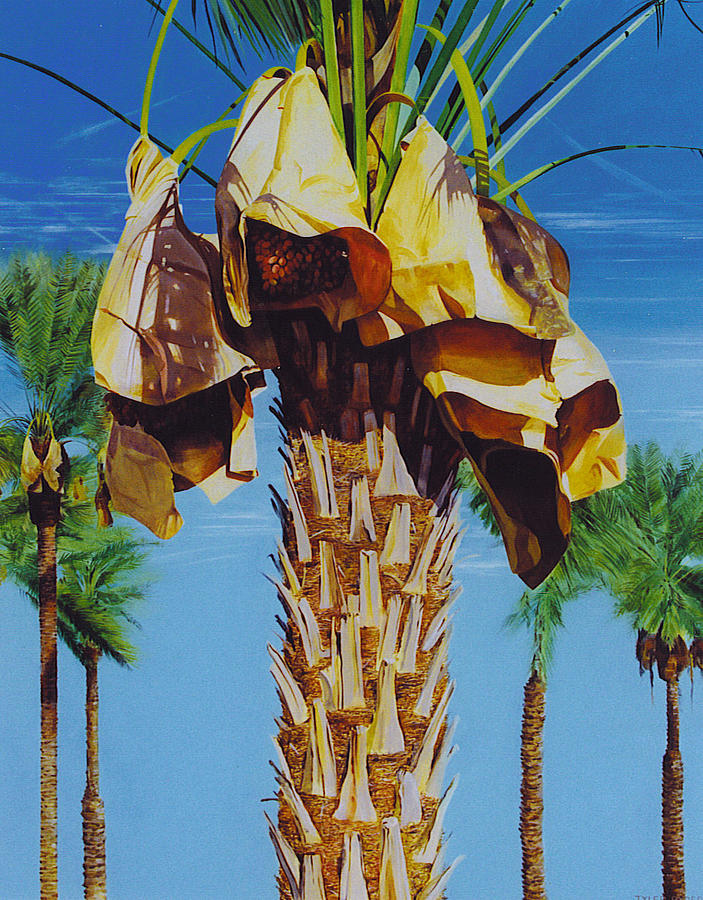 Desert Painting - Date Palm by Tyler Ryder