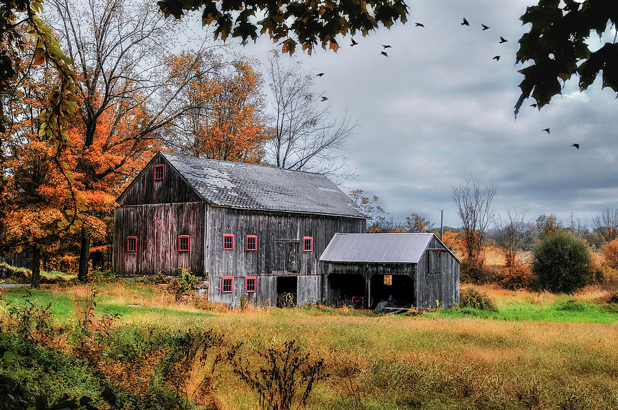 Davenport Farm - Connecticut Scenic Photograph by T-S Photo Art