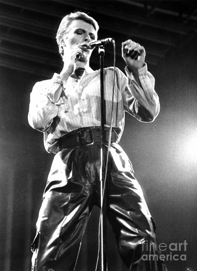 David Bowie 1978 Photograph by Chris Walter
