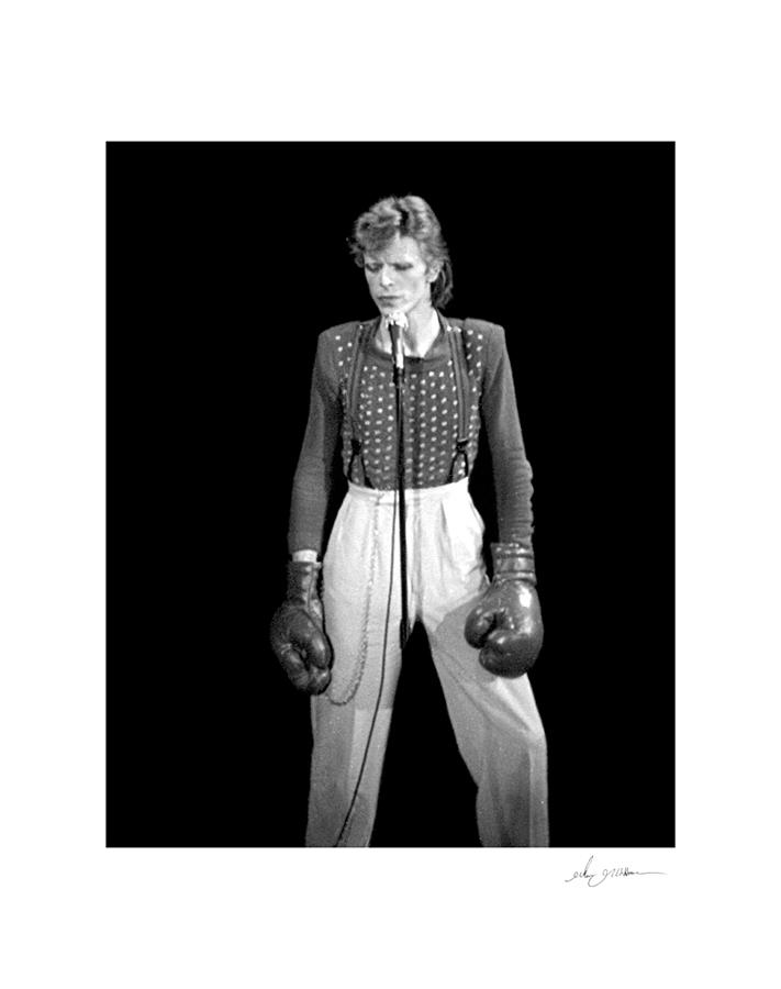 David Bowie  Live Photograph by Glenn Grossman