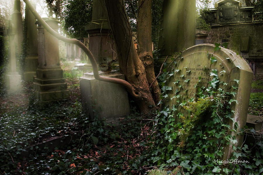 David Graig - Belview Graveyard Photograph by Micah Offman