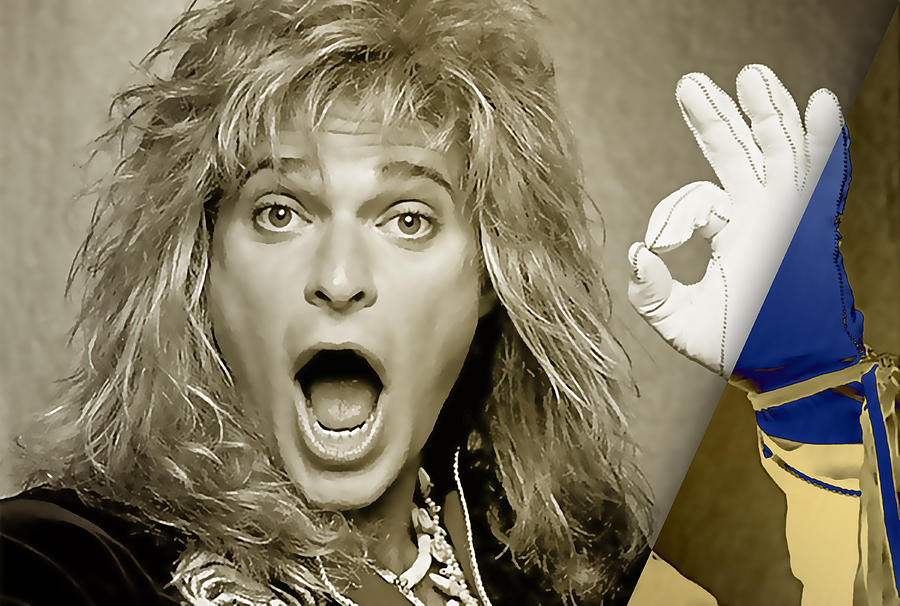 David Lee Roth Collection Mixed Media by Marvin Blaine