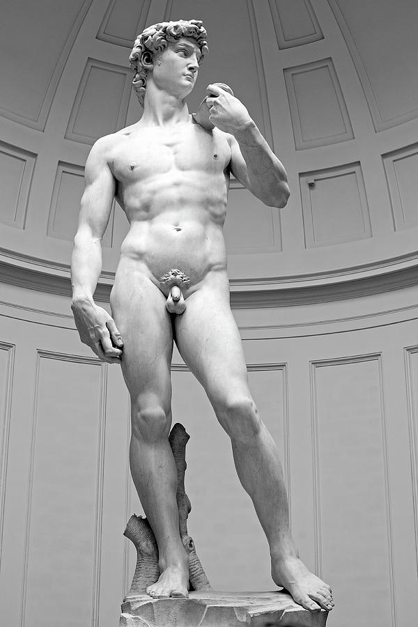 Michelangelo David Marble Statue, Accademia Gallery, Florence, Italy Photograph by Kathy Anselmo