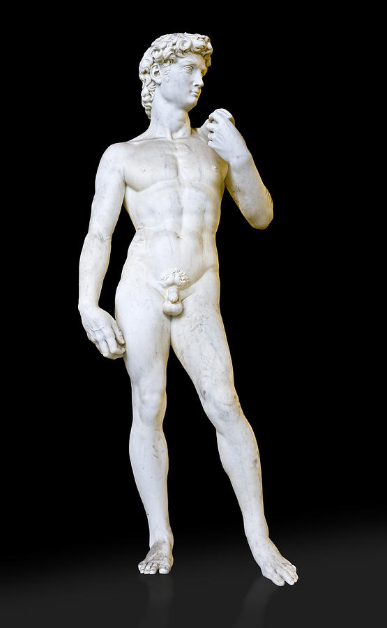 David sculpture by Michelangelo recreation Photograph by Gary Warnimont