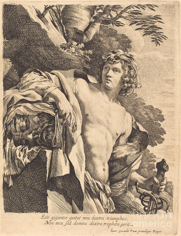 David With The Head Of Goliath Drawing by Attributed To Pierre Mignard