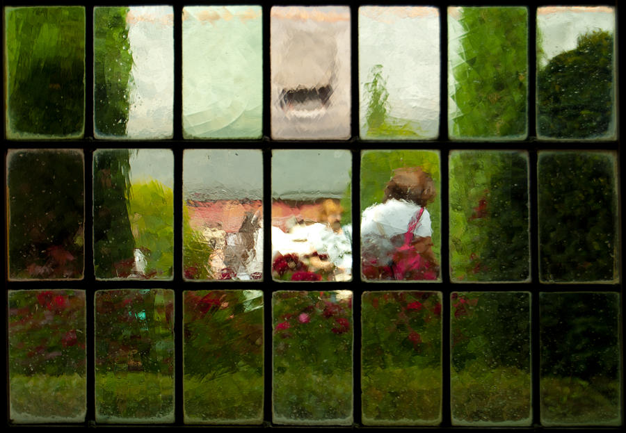 DaVinci Window Impressions 2 Photograph by Jani Freimann