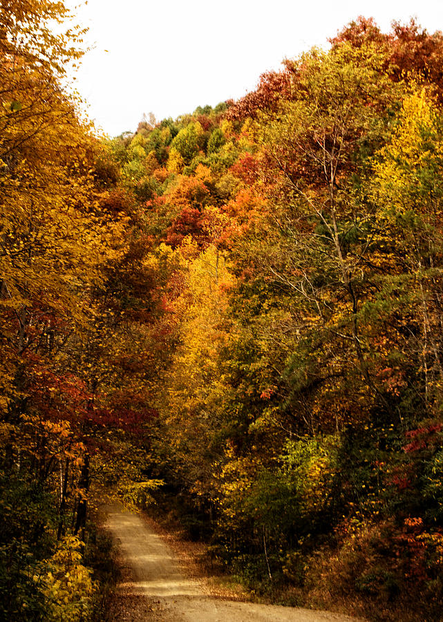 Fall Photograph - Davis Creek Road in Fall by Greg and Chrystal Mimbs