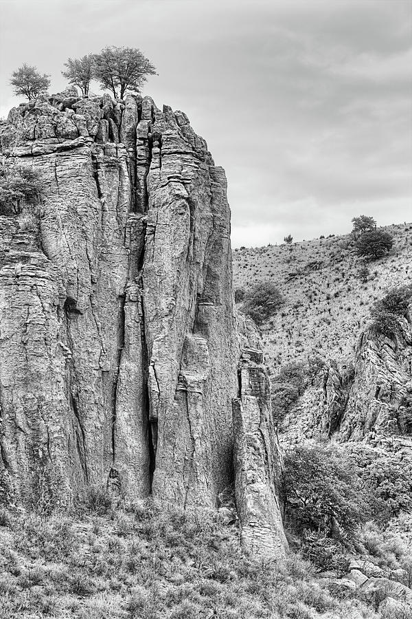 Davis Mountains State Park Black and White Photograph by JC Findley