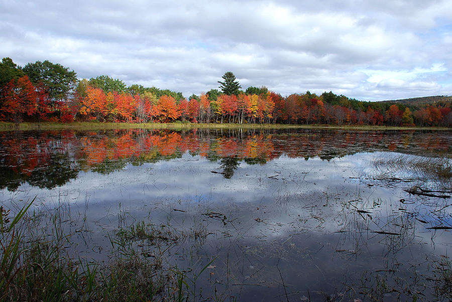 Davis pond in fall Photograph by Chris Howe - Fine Art America