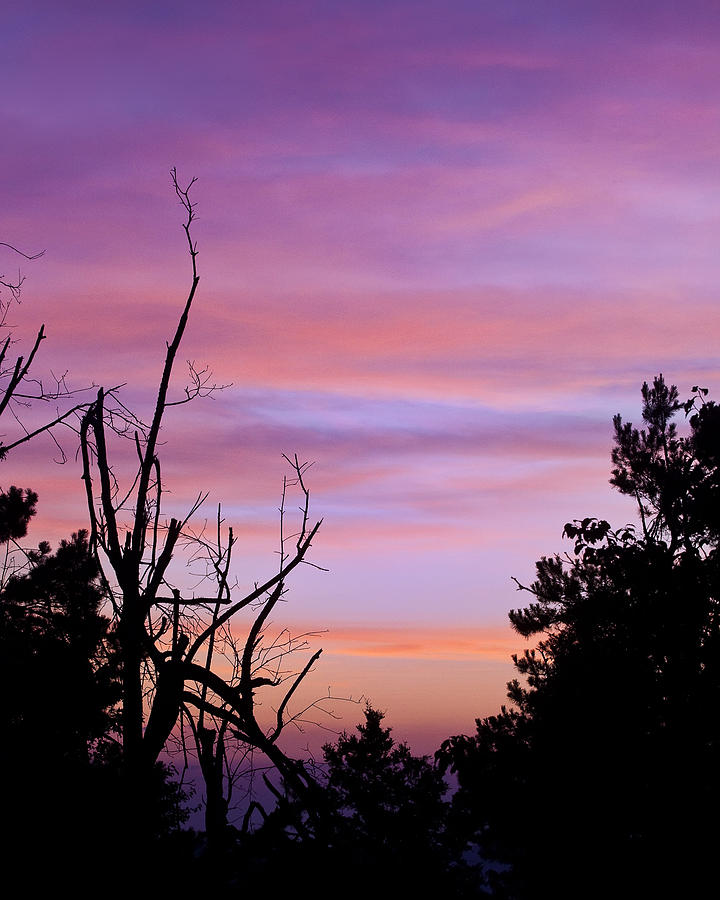 Dawn at Gaither Mountain Photograph by Michael Dougherty