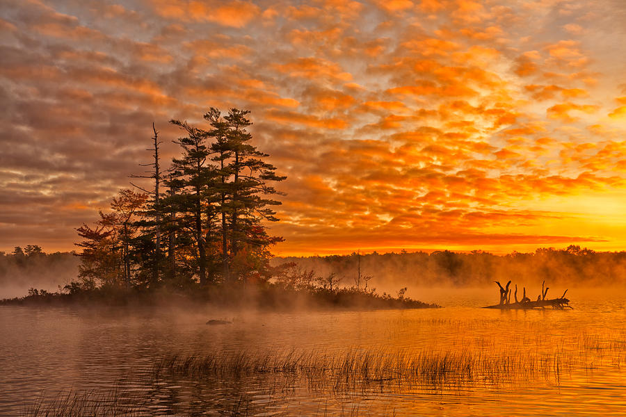 Landscape Photograph - Dawn At Oakfield Provincial Park by Irwin Barrett