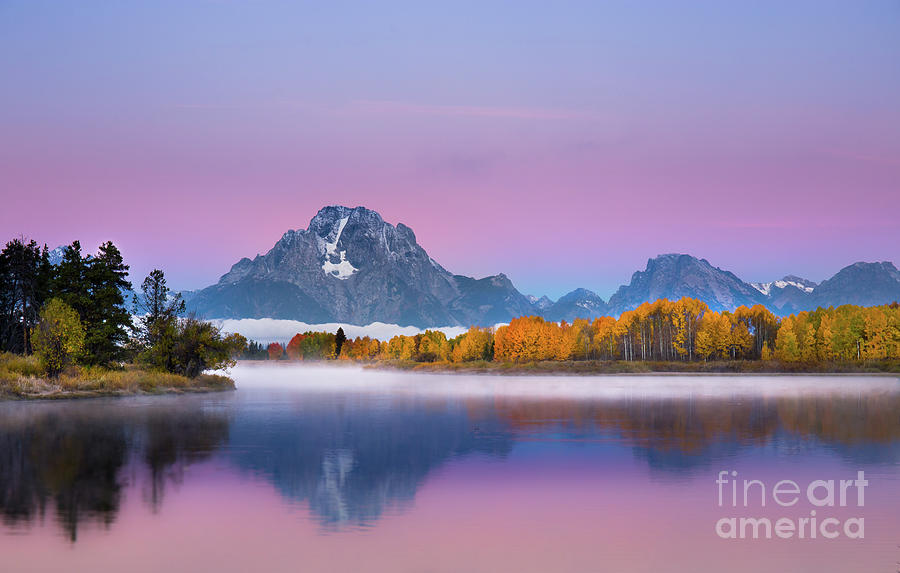 Dawn at Oxbow Bend Photograph by Leslie Wells