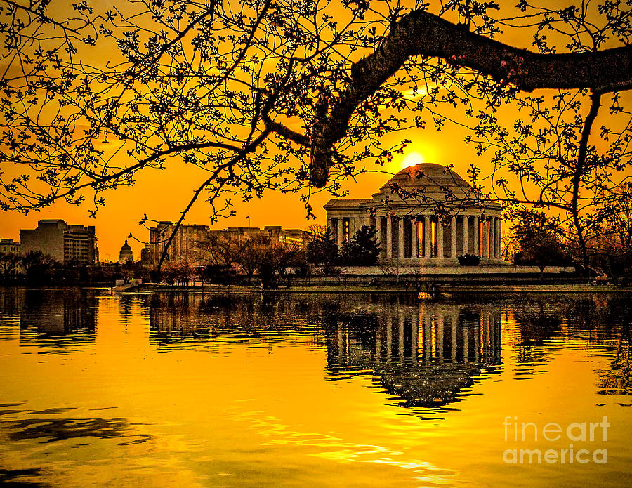 Dawn at the Jefferson Memorial  Photograph by Nick Zelinsky Jr