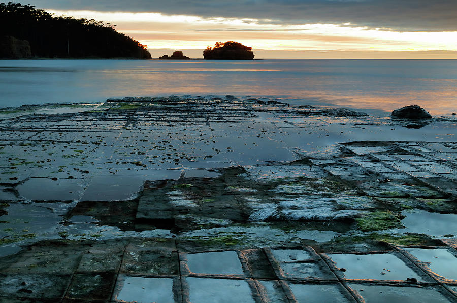 Dawn at the Tessellated Pavement Photograph by Nicholas Blackwell