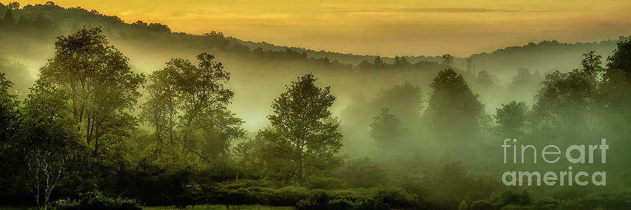 Spring Photograph - Dawn at Wildlife Management Area by Thomas R Fletcher