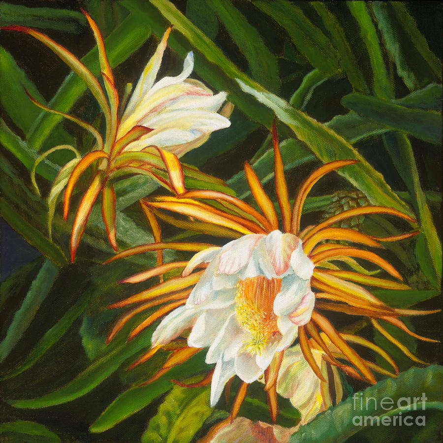 Dawn Cereus II Painting by Pati O'Neal - Fine Art America