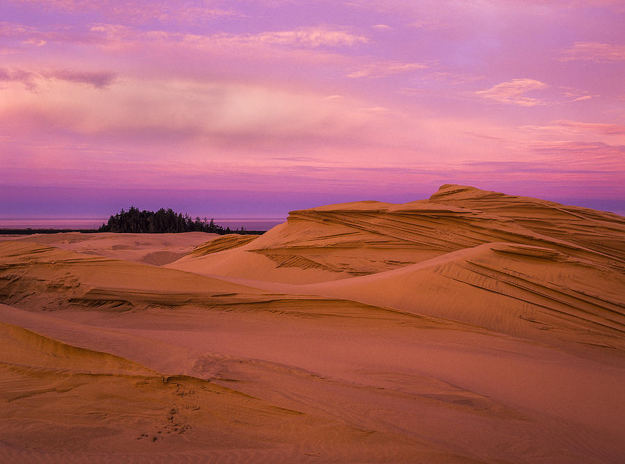 Dawn Dunes Photograph by Robert Potts