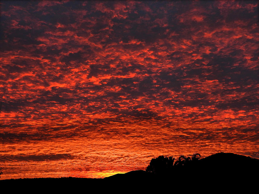 Dawn Fire  Photograph by Mark Blauhoefer