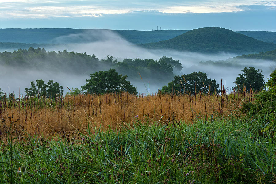 Dawn Fog Over The Blooming Grove Foothills 4 Photograph by Angelo Marcialis