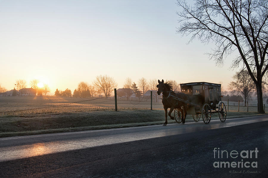 Dawn in Amishville Photograph by David Arment