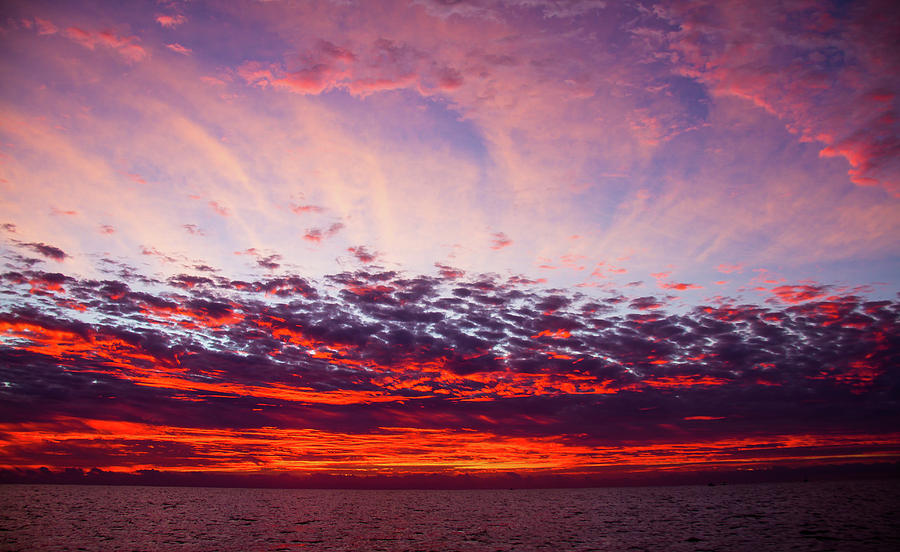 Dawn in Cabo Photograph by Johnnie Bankston - Fine Art America