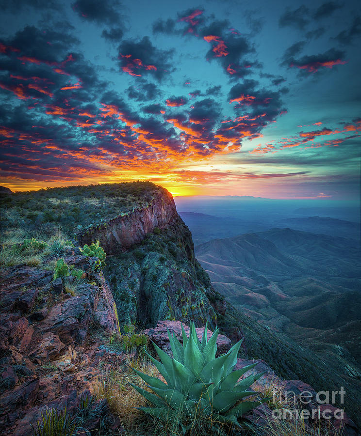 Nature Photograph - Dawn in the Chisos by Inge Johnsson