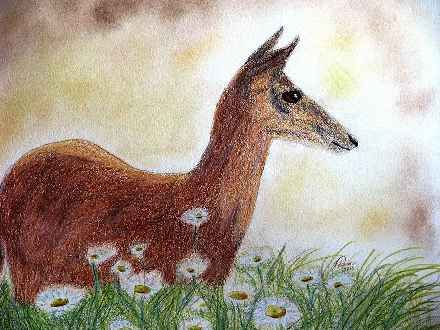 Wildlife Drawing - Dawn In The Daisies by Angela Davies