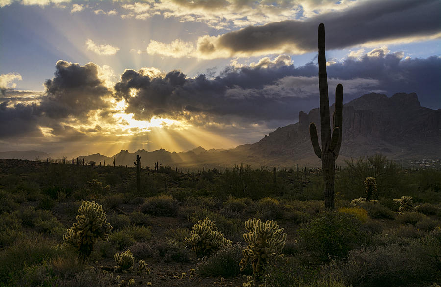 Dawn in the Desert  Photograph by Saija Lehtonen