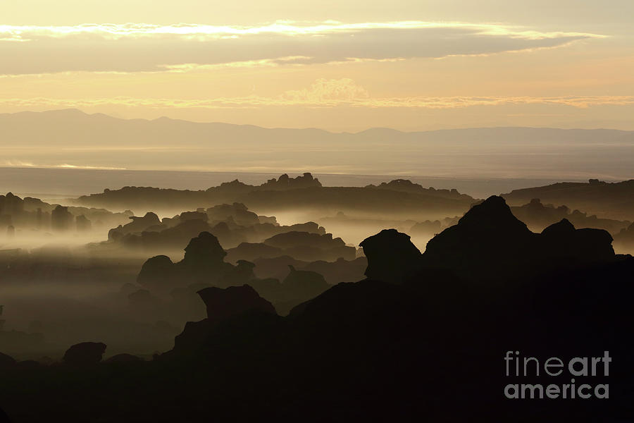 Dawn in the Rock Forests of North Lipez Bolivia Photograph by James Brunker