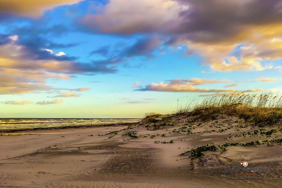Beach Photograph - Dunes at Dawn by Joseph Desiderio