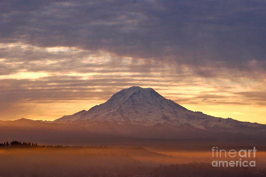 Nature Photograph - Dawn Mist About Mount Rainier by Sean Griffin