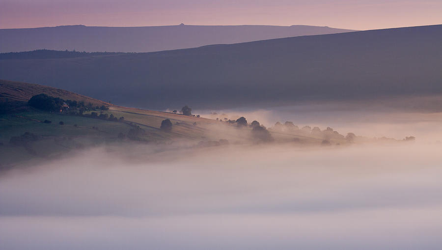 Dawn Mist Photograph by David Steventon - Fine Art America