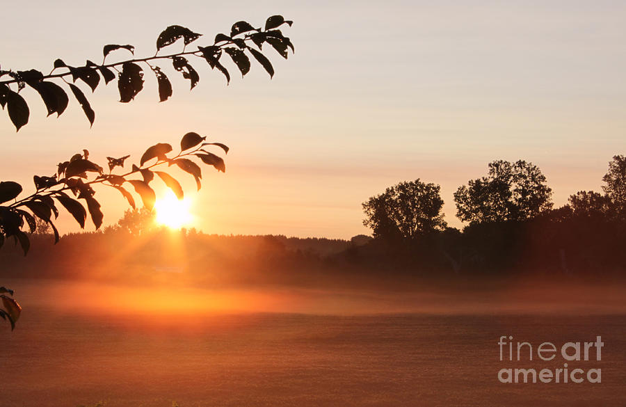 Dawn of a Brand New Day  Photograph by Cathy Beharriell