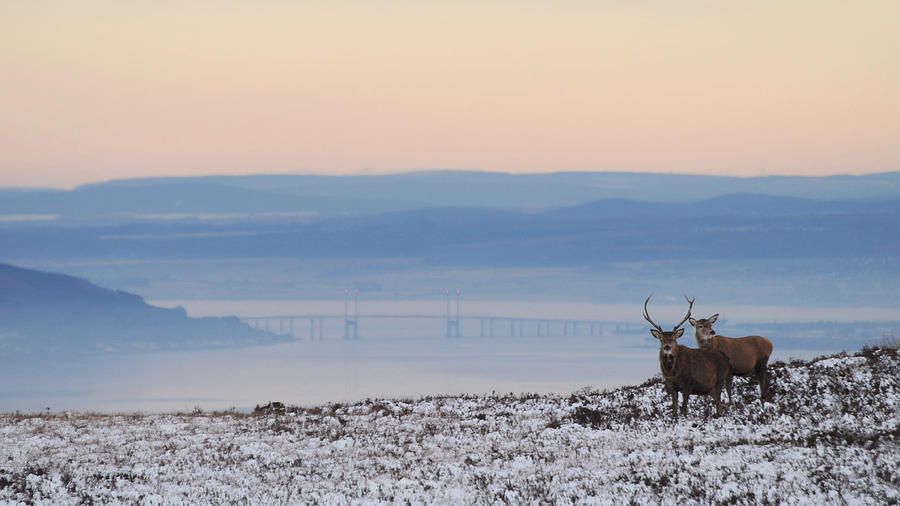 Dawn of a New Day Above the Beauly Firth Photograph by Gavin Macrae