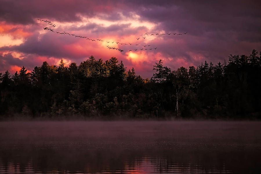 Dawn Of A New Day Photograph by Jackie Sajewski