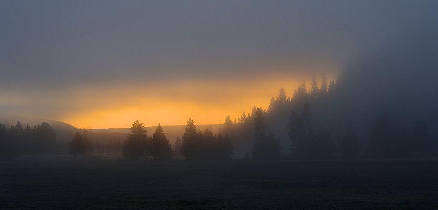 Dawn on a Foggy Morning Photograph by Nadalyn Larsen