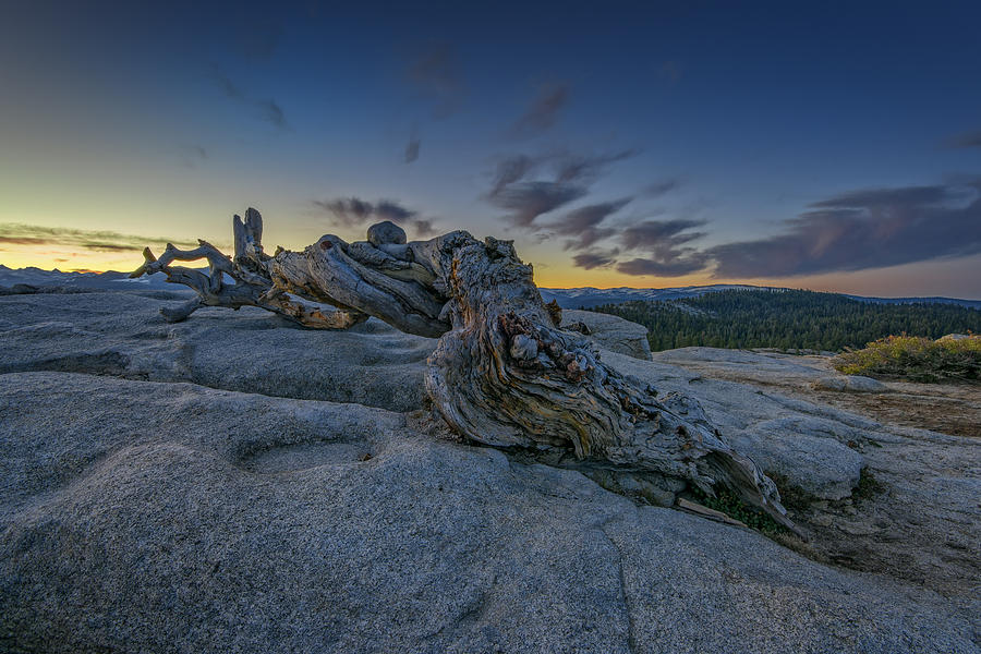 Yosemite National Park Photograph - Dawn on Sentinel by Rick Berk