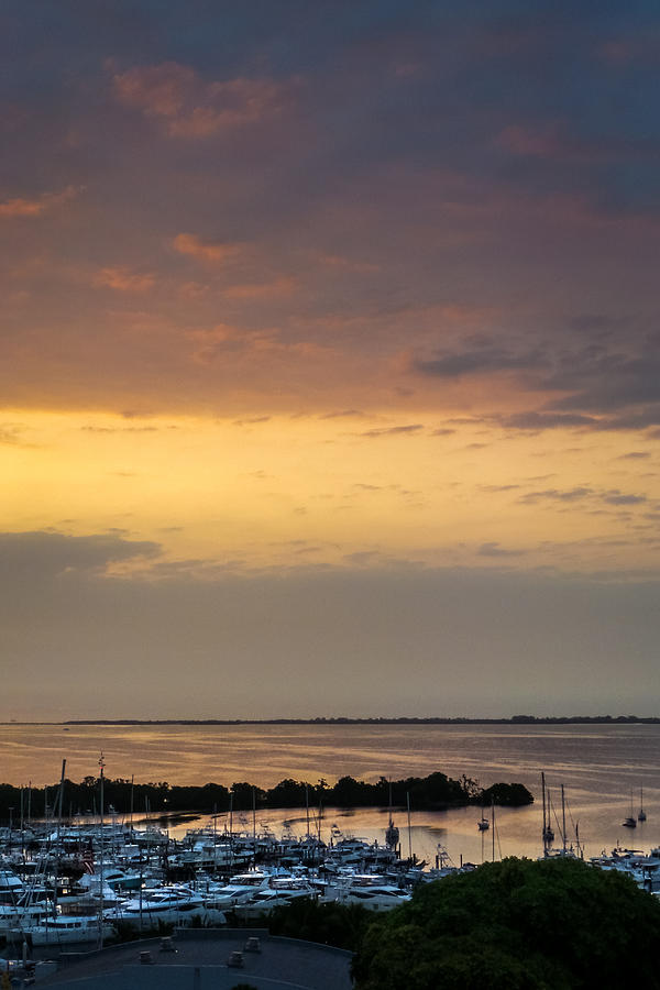 Dawn on the Bay Photograph by Frank Mari