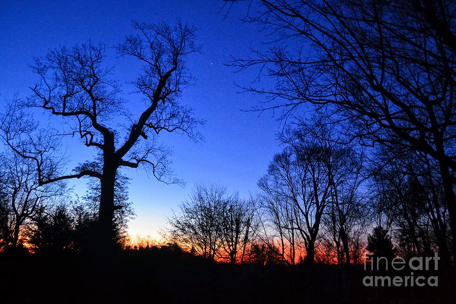 Dawn on the Farm Photograph by Dave Pellegrini