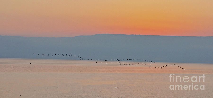 Dawn On The Sea of Galilee Photograph by Lydia Holly