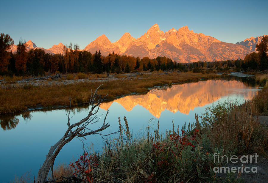 Dawn on the Tetons Photograph by Idaho Scenic Images Linda Lantzy