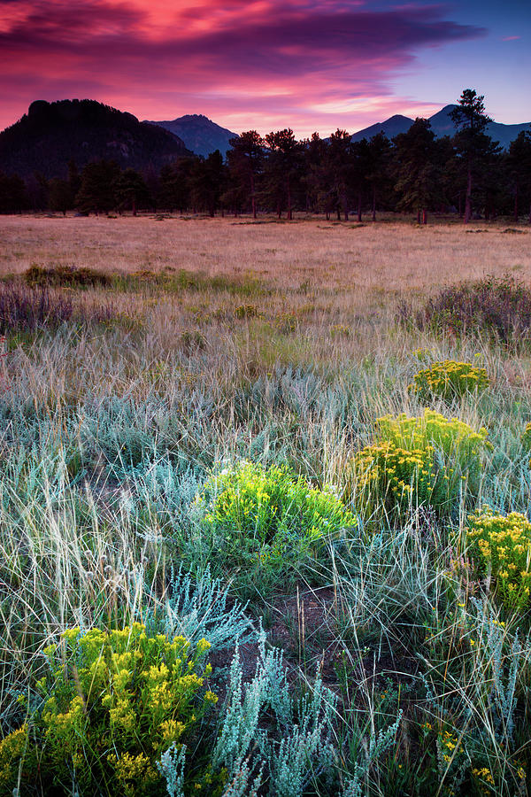 Dawn Over Beaver Meadows Photograph by John De Bord
