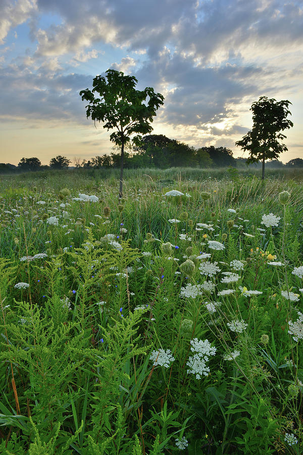 Dawn over Lakewood Prairie Photograph by Ray Mathis